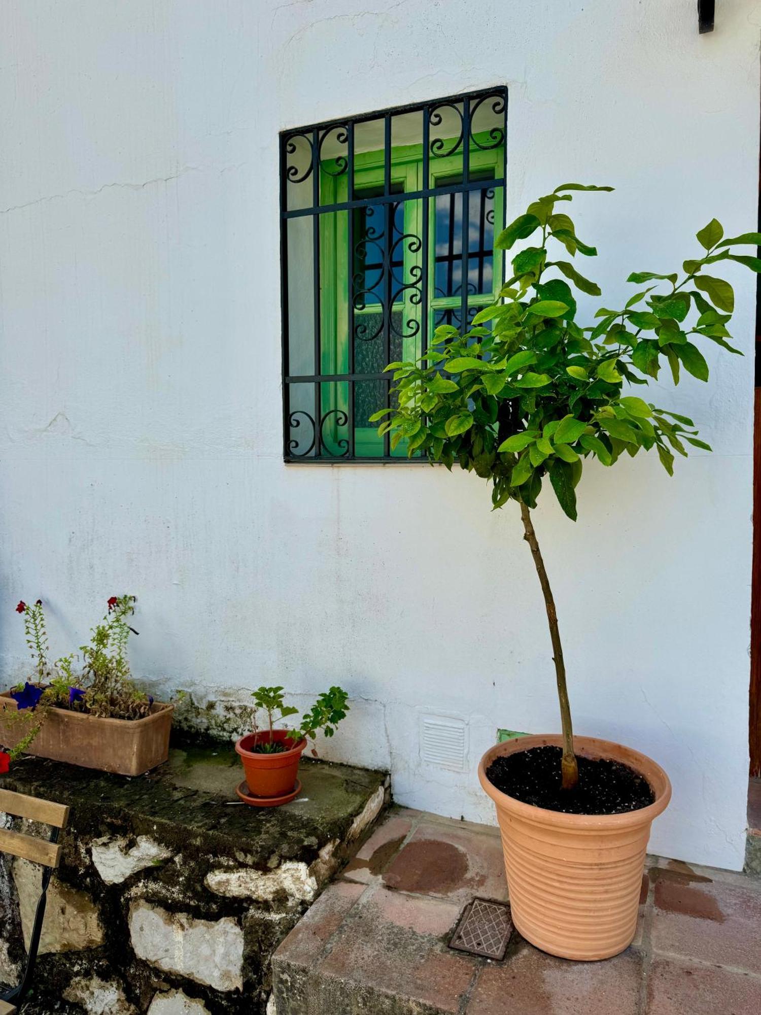 Casa Leon Villa Montejaque Ngoại thất bức ảnh